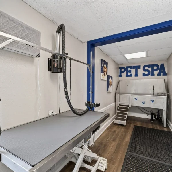The Whitney general photo